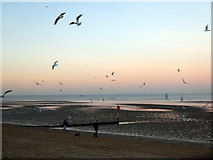TA3108 : A flock of gulls over Cleethorpes beach by John Lucas