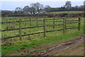 Fenced paddocks beside Newton Lane