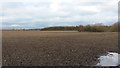 Path towards Broadmead Farm