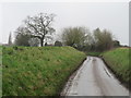 TL4724 : Country lane near Farnham by Malc McDonald