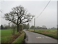 TL4824 : Minor country lane near Farnham by Malc McDonald