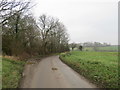 TL4824 : Country lane near Farnham by Malc McDonald