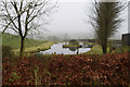 Pond, Tattymoyle Middle