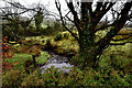 Stream, Lisconrea / Tattymoyle Upper