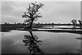 Flooded Farmland, Stoke on Tern