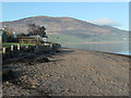 Gardens by the beach, Carsethorn