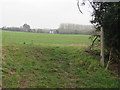 Footpath through a field near Stansted Mountfitchet