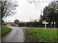 Country lane near Stansted Mountfitchet