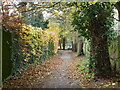 Footpath from Ladbroke Road to St. Annes