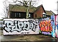 TG2209 : Edward Street car park - graffiti by Evelyn Simak