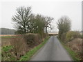 TL4627 : Country lane near Manuden by Malc McDonald