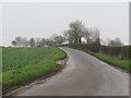TL4429 : Country lane near Stocking Pelham by Malc McDonald