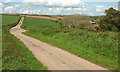 Track past Knighton Farm