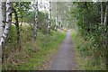 Railway path, Boghead