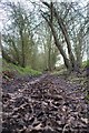 Looking Back Towards Colemans Farm