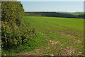 Field near Flear Barn