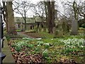 Churchyard, Whitburn Parish Church