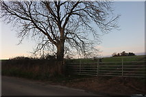 SP3021 : Field entrance near Westend by David Howard
