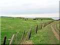 NZ4162 : Whitburn Rifle Ranges by Andrew Curtis