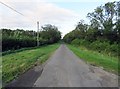 Green Lane towards Hickling