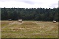 Stubble near Potarch