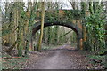 Bridge over former railway line near Two Oaks Farm