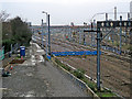 New tracks to the new carriage sidings