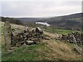 View towards More Hall Reservoir