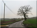 TL4332 : Country lane near Meesden by Malc McDonald