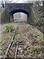 Road bridge over disused railway