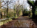 Large puddle on a Machen lane