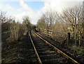 Across a railway bridge, Pantyffordd