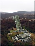 NY9695 : Killom's Stone by Leanmeanmo