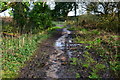 Wet path at Merritown