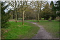 Path between trees, Muscliffe Arboretum