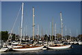SU8201 : Chichester Marina by Peter Trimming