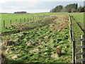 NT7764 : Drainage on Quixwood Moor near Grantshouse in the Scottish Borders by ian shiell