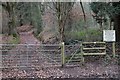SO6222 : Path junction in Penyard Park by John Winder