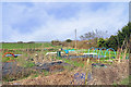 Allotments, Forest Hill