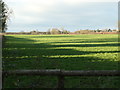 Hedge and tree shadows, near Manor House Farm