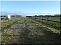 Track to New Home Farm, Puddington