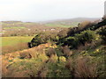 Llwybr ger Danrallt / Path near Danrallt