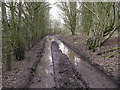 Mansells Lane, Codicote