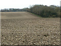 Cultivated field seen from Eabley Heath Road, Codicote