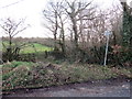 Llwybr Caeffwrn / Caeffwrn Path