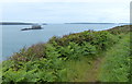 SM8705 : Pembrokeshire Coast Path at South Hook Point by Mat Fascione