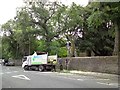 Tree surgery at Hyde Chapel