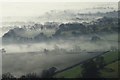 Misty farmland