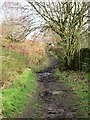 Nidderdale Way path