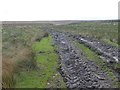 Track near Sandhope Edge